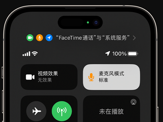 桃城苹果授权维修网点分享iPhone在通话时让你的声音更清晰 