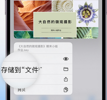 桃城apple维修中心分享iPhone文件应用中存储和找到下载文件