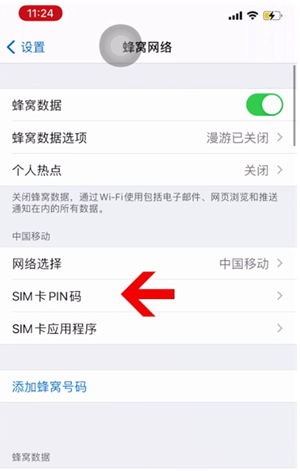 桃城苹果14维修网分享如何给iPhone14的SIM卡设置密码 