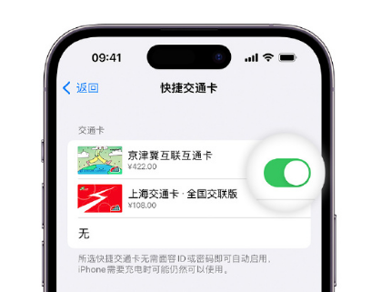 桃城apple维修点分享iPhone上更换Apple Pay快捷交通卡手绘卡面 