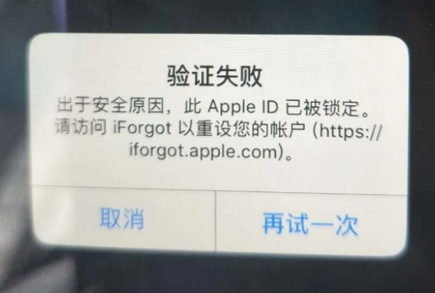 桃城iPhone维修分享iPhone上正常登录或使用AppleID怎么办 