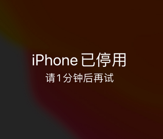 桃城苹果手机维修分享:iPhone 显示“不可用”或“已停用”怎么办？还能保留数据吗？ 