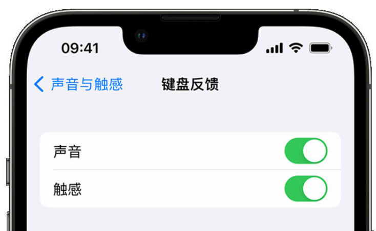 桃城苹果手机维修分享iPhone 14触感键盘使用方法 