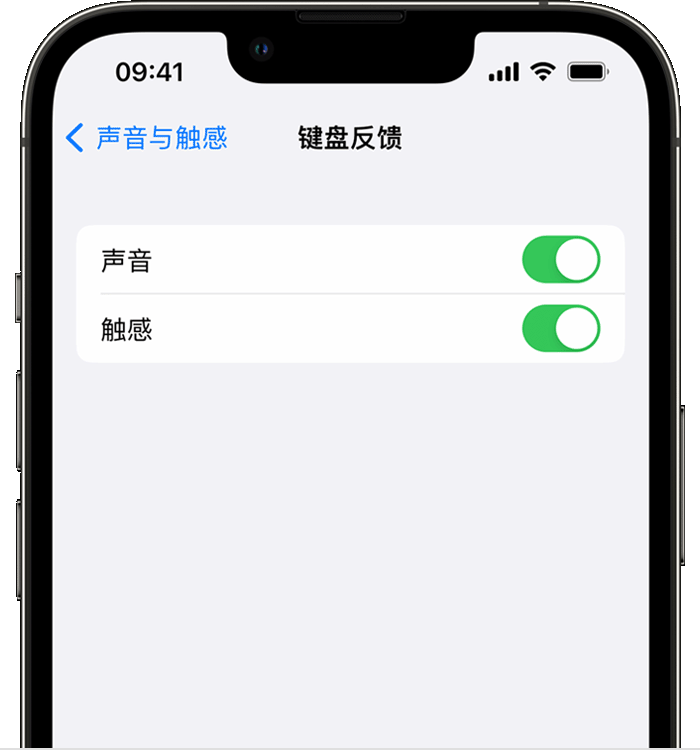 桃城苹果14维修店分享如何在 iPhone 14 机型中使用触感键盘 