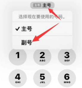 桃城苹果14维修店分享iPhone 14 Pro Max使用副卡打电话的方法 