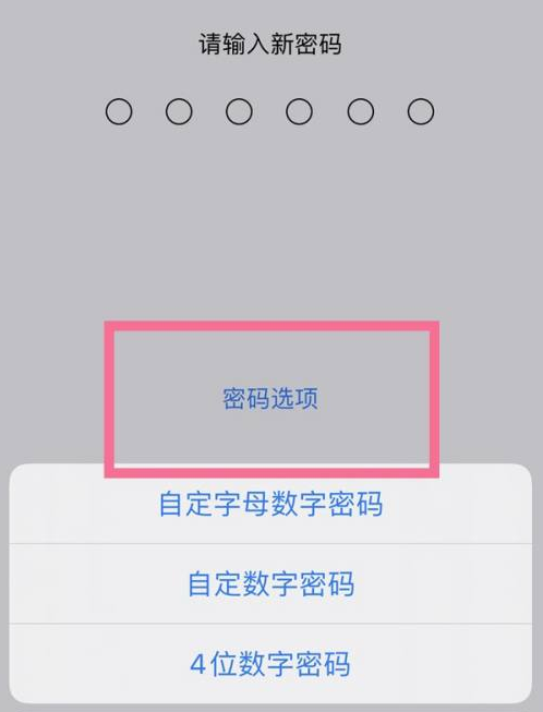 桃城苹果14维修分享iPhone 14plus设置密码的方法 