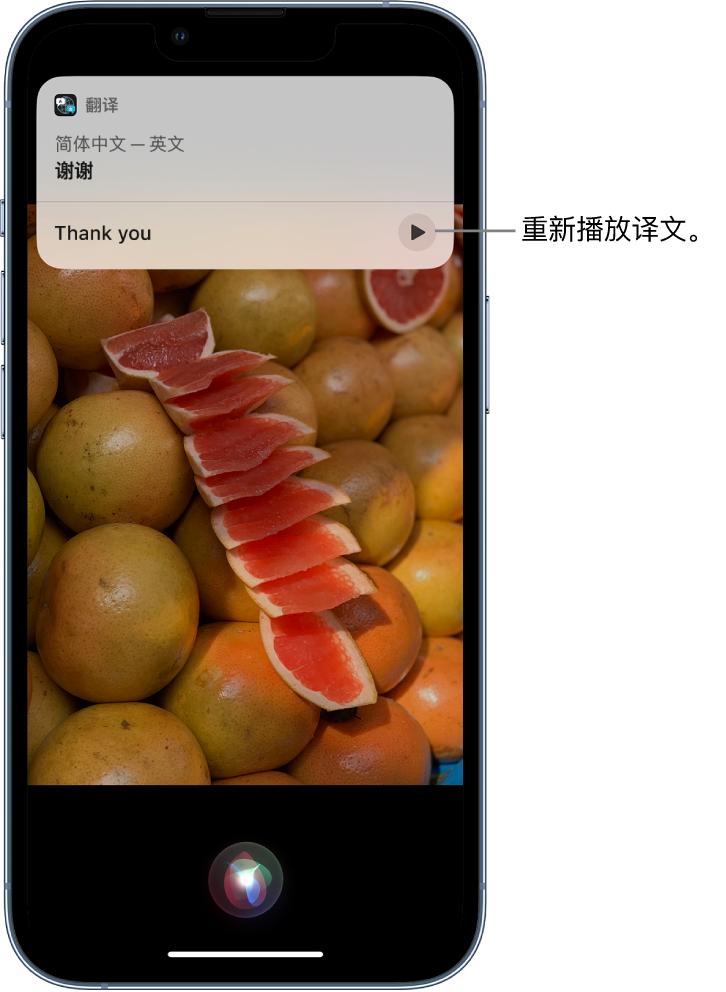 桃城苹果14维修分享 iPhone 14 机型中使用 Siri：了解 Siri 能帮你做什么 