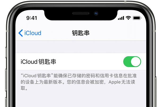 桃城苹果手机维修分享在 iPhone 上开启 iCloud 钥匙串之后会储存哪些信息 