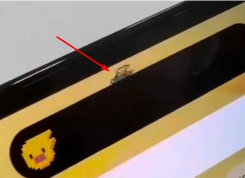 桃城苹果14维修分享iPhone 14 Pro Max灵动岛怎么养宠物 