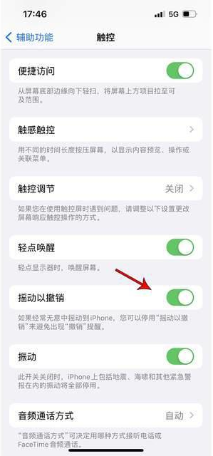 桃城苹果手机维修分享iPhone手机如何设置摇一摇删除文字 