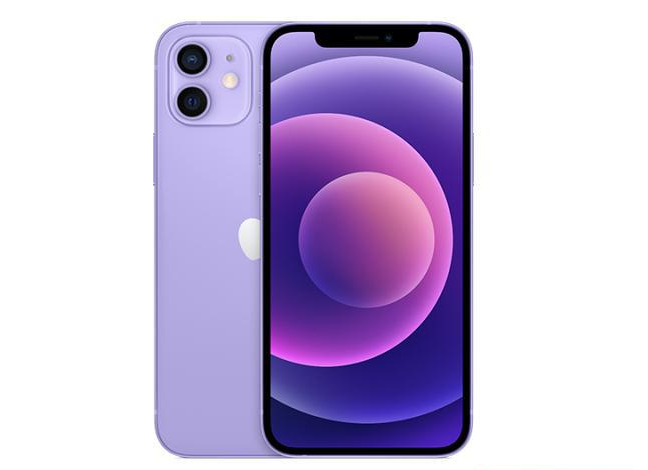桃城苹果手机维修分享现阶段要不要入手紫色版iPhone12 