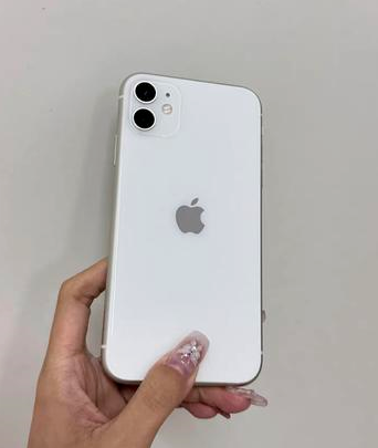 桃城苹果维修点分享iPhone 11黑屏特殊场景解析 