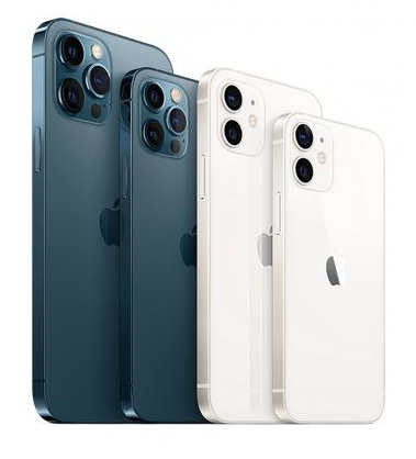 桃城苹果维修点分享iPhone 12 Pro黑屏小众问题解析 