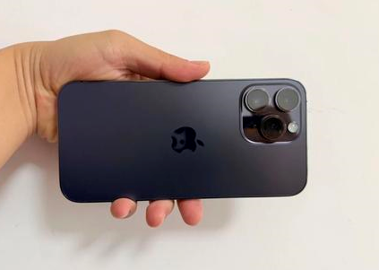 桃城苹果维修点分享iPhone 14 Pro Max黑屏少见故障盘点 